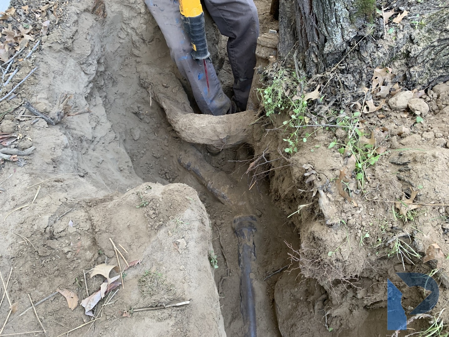 sewer pipe replacement