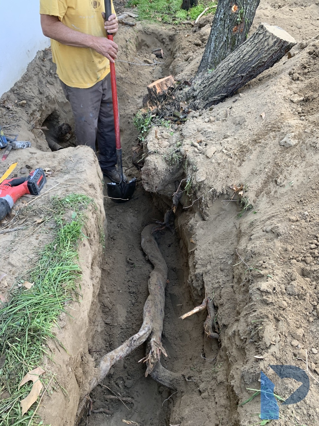 sewer lateral replacement
